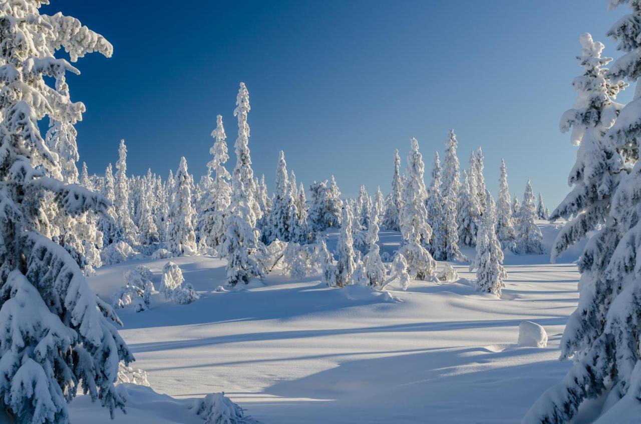 Blefjell Lodge Lampeland Esterno foto