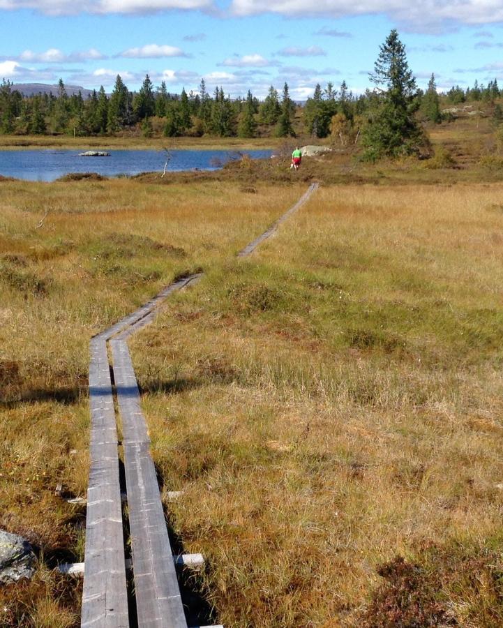 Blefjell Lodge Lampeland Esterno foto